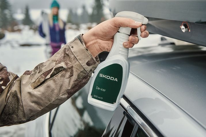 Oferta lunii ianuarie Skoda